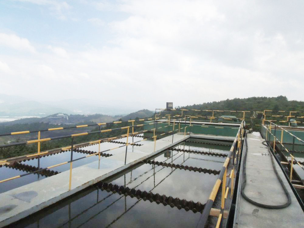 雲(yun)南(nan)某某化工600m3ph一體(ti)化